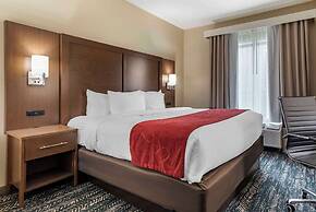 Comfort Inn & Suites Downtown near University