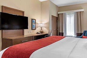 Comfort Inn & Suites Downtown near University