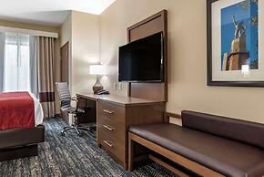 Comfort Inn & Suites Downtown near University