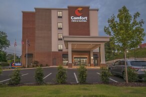 Comfort Inn & Suites Downtown near University