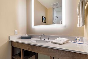 Comfort Inn & Suites Downtown near University