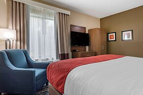 Comfort Inn & Suites Downtown near University