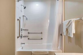 Comfort Inn & Suites Downtown near University