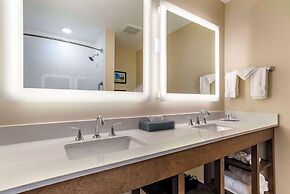 Comfort Inn & Suites Downtown near University