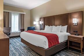 Comfort Inn & Suites Downtown near University