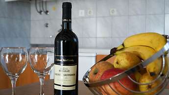 Studio Apartment Slivje