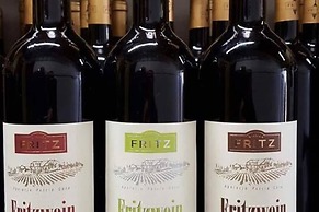 Hotel Paryski Art & Business