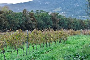 Domaine de Peretti della Rocca