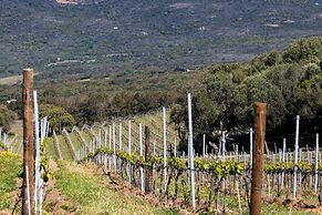 Domaine de Peretti della Rocca