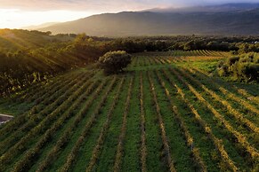 Domaine de Peretti della Rocca