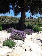Luxury Villa With Private Pool in Cesseras