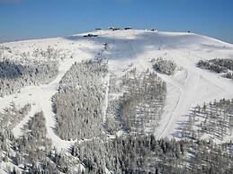 Spacious Apartment in Afritz am See near Ski Area