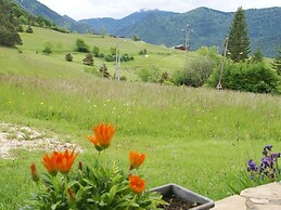 Nature & Adventure Highlights