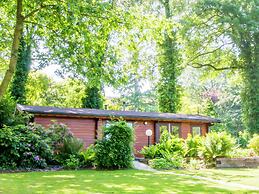 Cosily Chalet With gas Fireplace in Twente