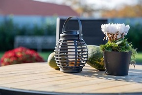 Tranquil Holiday Home in Alphen-chaam With Stables