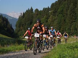 Apartment With Balcony in Sankt Gallenkirch