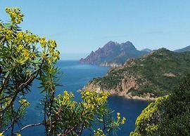 Romantic Retreat in Cargese