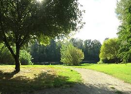 Vineyard Villa in Montfrin