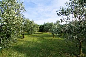 Vineyard Villa in Montfrin