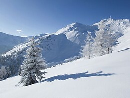 Spacious Apartment in Uderns near Ski Area