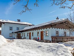 Spacious Apartment in Mittersill near Ski Area