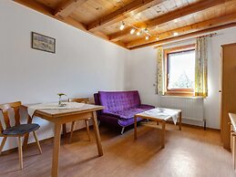 Spacious Apartment in Mittersill near Ski Area