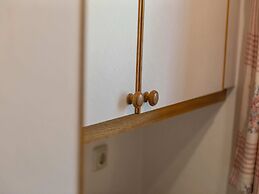 Spacious Apartment in Mittersill near Ski Area
