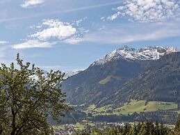 Spacious Apartment in Mittersill near Ski Area