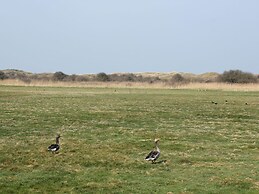Peaceful Villa in De Koog near Sea