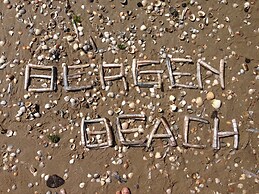 Beautiful House in Bergen aan Zee in the Dunes