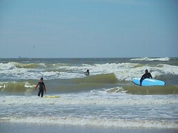 Beautiful House in Bergen aan Zee in the Dunes