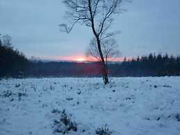 Chalet With Garden House on a Holiday Park