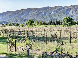 Cottage in Oppede Amidst Vineyards