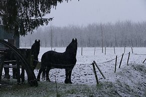 Apartment Near the Belgian Border