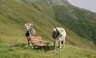 Rustic Holiday Home near Ski Area in Hopfgarten im Brixental