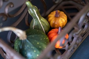 Classy Holiday Home in Alphen With Garden