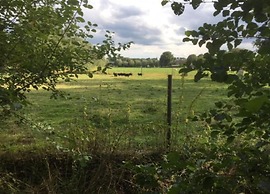 Chalet in Sandberghe With Sunny Terrace
