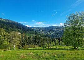 Ventron Chalet With Hill Views