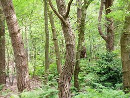 Cozy Countryside Escape in Dalfsen