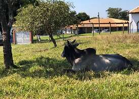 Sítio Refúgio do Alto