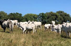 Sítio Refúgio do Alto