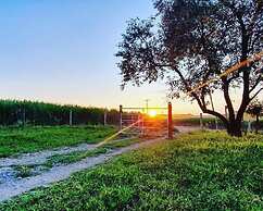 Sítio Refúgio do Alto