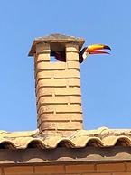 Sítio Refúgio do Alto