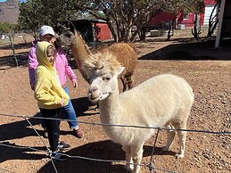 Alpine Bed and Breakfast