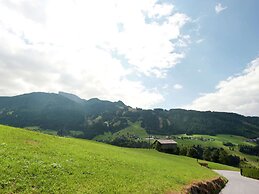 Farm in Gerlosberg Near the ski Area