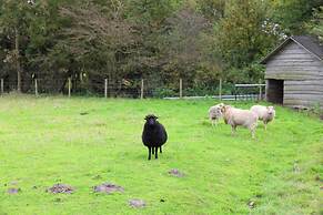 Luxurious Mansion in Callantsoog With Sauna