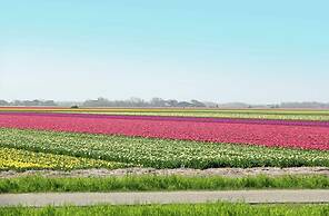 Luxurious Mansion in Callantsoog With Sauna