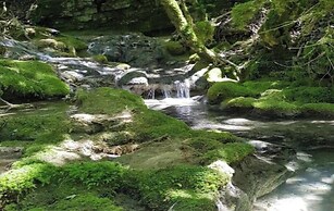 Villa in Bruniquel by Aveyron River