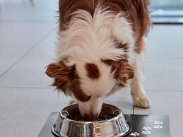 Aparthotel Adagio Access Brussels Delta