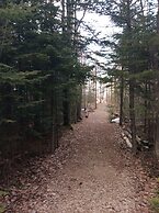 Sunshine Motel and Cabins